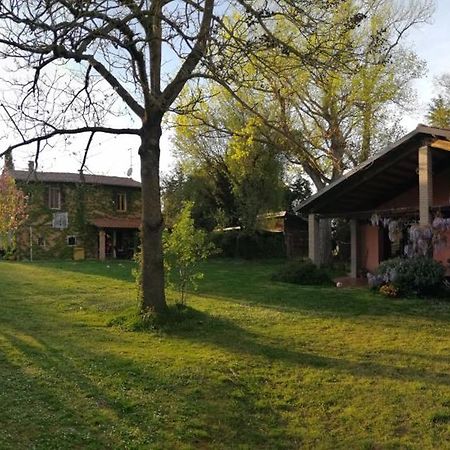 布里西盖拉Agriturismo Il Palazzo别墅 外观 照片