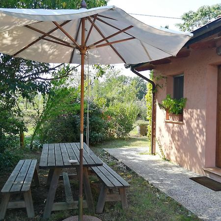 布里西盖拉Agriturismo Il Palazzo别墅 外观 照片