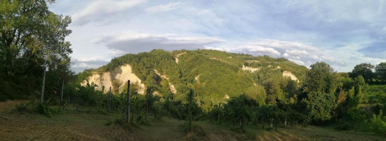 布里西盖拉Agriturismo Il Palazzo别墅 外观 照片