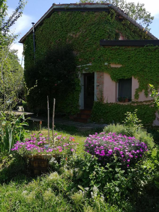 布里西盖拉Agriturismo Il Palazzo别墅 外观 照片